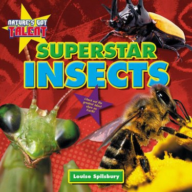 Superstar Insects by Louise Spilsbury, 9781477770658