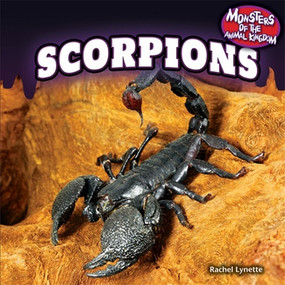 Scorpions - 9781448897223 by Rachel Lynette, 9781448897223