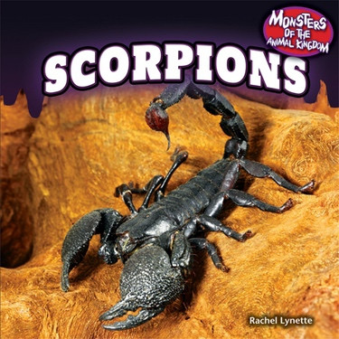 Scorpions - 9781448897223 by Rachel Lynette, 9781448897223