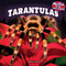 Tarantulas - 9781448897209 by Rachel Lynette, 9781448897209