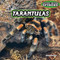 Tarantulas - 9781477729809 by Joanne Randolph, 9781477729809