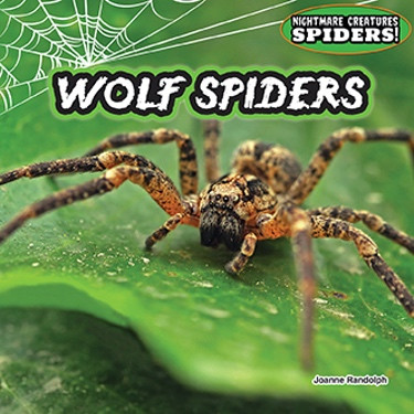 Wolf Spiders by Joanne Randolph, 9781477729793