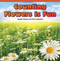 Counting Flowers Is Fun (Number Names and Count Sequence) by Julie Secor, 9781477716595