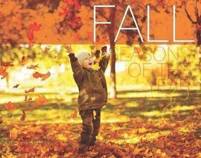 Fall - 9781499484137 by Harriet Brundle, 9781499484137