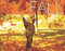Fall - 9781499484137 by Harriet Brundle, 9781499484137