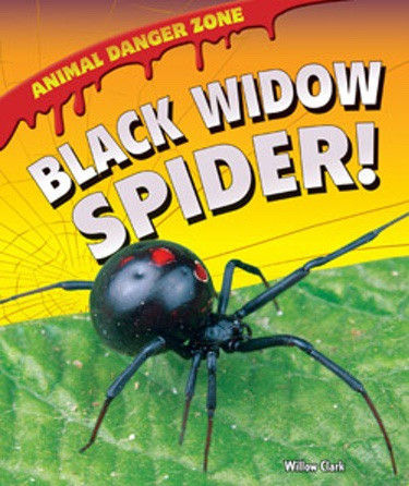 Black Widow Spider! by Willow Clark, 9781607549680