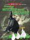 Drawing Witches and Wizards by Carter Hayn, 9781615337064