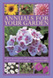 Annuals For Your Garden (Brighten up your garden with vibrant flowers and foliage, with 120 beautiful photographs) by Richard Bird, 9780754827160