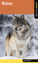 Wolves - 9780762782352 by Jack Ballard, 9780762782352