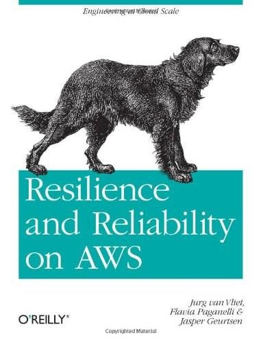 Resilience and Reliability on AWS (Engineering at Cloud Scale) by Jurg van Vliet, Flavia Paganelli, Jasper Geurtsen, 9781449339197