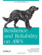 Resilience and Reliability on AWS (Engineering at Cloud Scale) by Jurg van Vliet, Flavia Paganelli, Jasper Geurtsen, 9781449339197