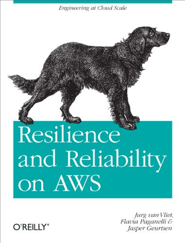 Resilience and Reliability on AWS (Engineering at Cloud Scale) by Jurg van Vliet, Flavia Paganelli, Jasper Geurtsen, 9781449339197