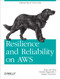 Resilience and Reliability on AWS (Engineering at Cloud Scale) by Jurg van Vliet, Flavia Paganelli, Jasper Geurtsen, 9781449339197