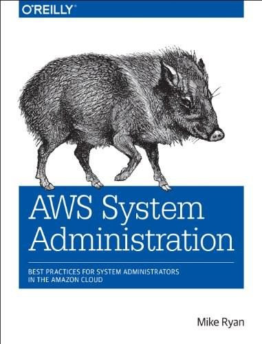 AWS System Administration (Best Practices for Sysadmins in the Amazon Cloud) by Mike Ryan, Federico Lucifredi, 9781449342579