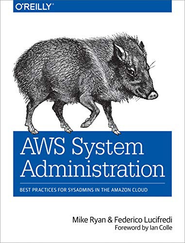 AWS System Administration (Best Practices for Sysadmins in the Amazon Cloud) by Mike Ryan, Federico Lucifredi, 9781449342579