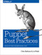Puppet Best Practices (Design Patterns for Maintainable Code) by Chris Barbour, Jo Rhett, 9781491923009