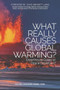 What Really Causes Global Warming? (Greenhouse Gases or Ozone Depletion?) by Peter Langdon Ward, Ph.D, David Bennett Laing, 9781630477981