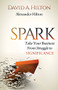 Spark (Take Your Business From Struggle to Significance) by David A. Hilton, Alexander Hilton, 9781630479497