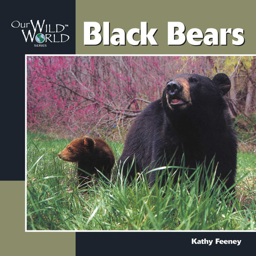 Black Bear by Kathy Feeney, 9781559717427