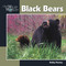 Black Bear by Kathy Feeney, 9781559717427