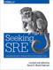 Seeking SRE (Conversations About Running Production Systems at Scale) by David N. Blank-Edelman, 9781491978863