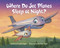 Where Do Jet Planes Sleep at Night? - 9780399554513 by Brianna Caplan Sayres, Christian Slade, 9780399554513