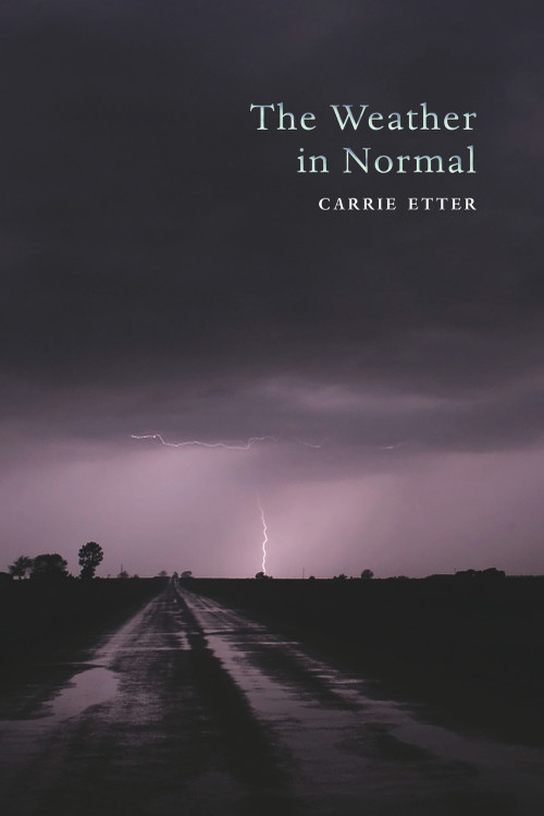 The Weather in Normal by Carrie  Etter, 9781581771749