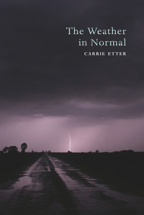 The Weather in Normal by Carrie  Etter, 9781581771749