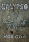 Calypso - 9781869404055 by Bob Orr, 9781869404055