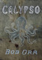 Calypso - 9781869404055 by Bob Orr, 9781869404055