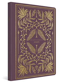 ESV Illuminated Scripture Journal (John (Paperback)) by , 9781433564857