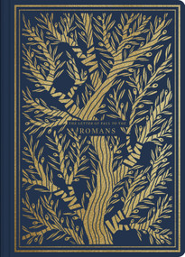 ESV Illuminated Scripture Journal (Romans (Paperback)) by , 9781433564819
