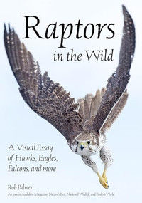 Raptors in the Wild (A Visual Essay of Hawks, Eagles, Falcons and More) by Rob Palmer, 9781682033623