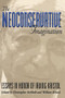 The Neoconservative Imagination: (Essays in Honor of Irving Kristol) by Christopher Demuth, William Kristol, 9780844738994