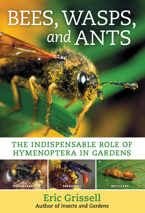 Bees, Wasps, and Ants (The Indispensable Role of Hymenoptera in Gardens) by Eric Grissell, 9781604699104