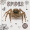 Spider by Holly Duhig, 9781786372376