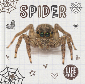 Spider by Holly Duhig, 9781786372376