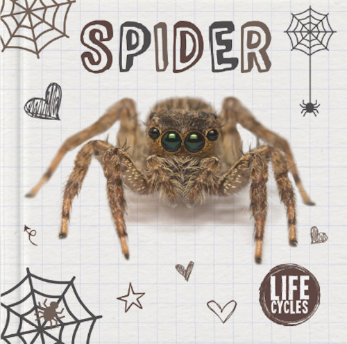 Spider by Holly Duhig, 9781786372376