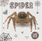 Spider by Holly Duhig, 9781786372376