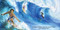 Good Night Maui by Adam Gamble, Mark Jasper, Katherine Blackmore, 9781602196810