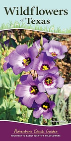 Wildflowers of Texas (Your Way to Easily Identify Wildflowers) - 9781591938163 by George Oxford Miller, 9781591938163