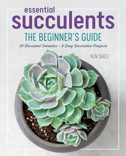 Essential Succulents (The Beginner's Guide) by Ken Shelf, Rachel Weill, 9781641522557