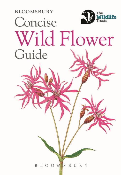Concise Wild Flower Guide by Bloomsbury, 9781472963802