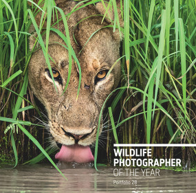 Wildlife Photographer of the Year: Portfolio 28 by Rosamund Kidman Cox, 9780565094287