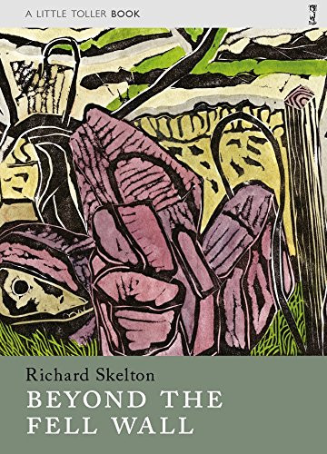 Beyond the Fell Wall - 9781908213587 by Richard Skelton, 9781908213587