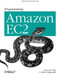 Programming Amazon EC2 (Survive your Success) by Jurg van Vliet, Flavia Paganelli, 9781449393687