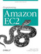 Programming Amazon EC2 (Survive your Success) by Jurg van Vliet, Flavia Paganelli, 9781449393687