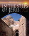 In the Steps of Jesus by Peter Walker, 9780745953861