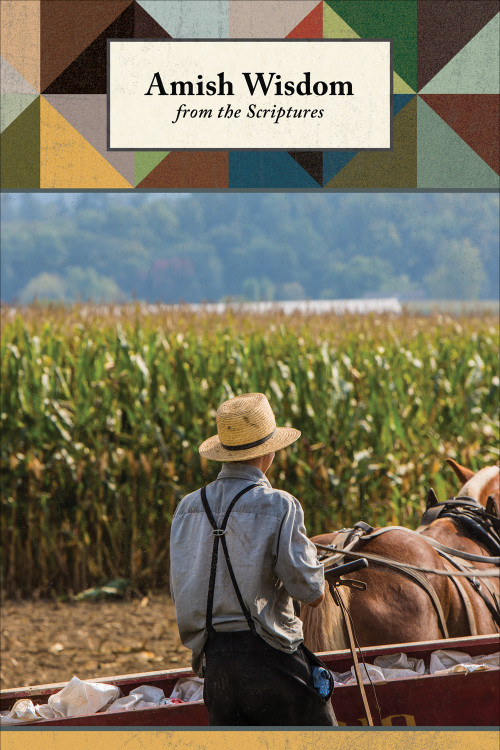Amish Wisdom from the Scriptures (Lined Journal) by Editors of Quiet Fox Designs, 9781641780285