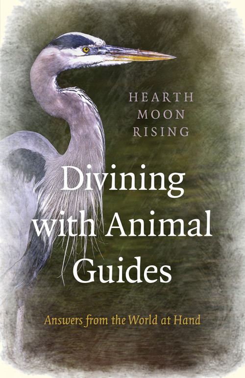 Divining with Animal Guides: Answers from the World at Hand by Hearth Moon Rising, 9781785355974